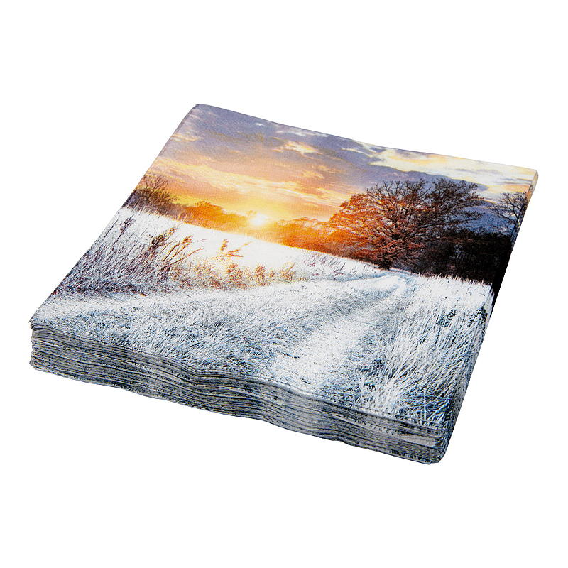Vie Eco Servietter 20-pk 33x33 cm, Vinter
