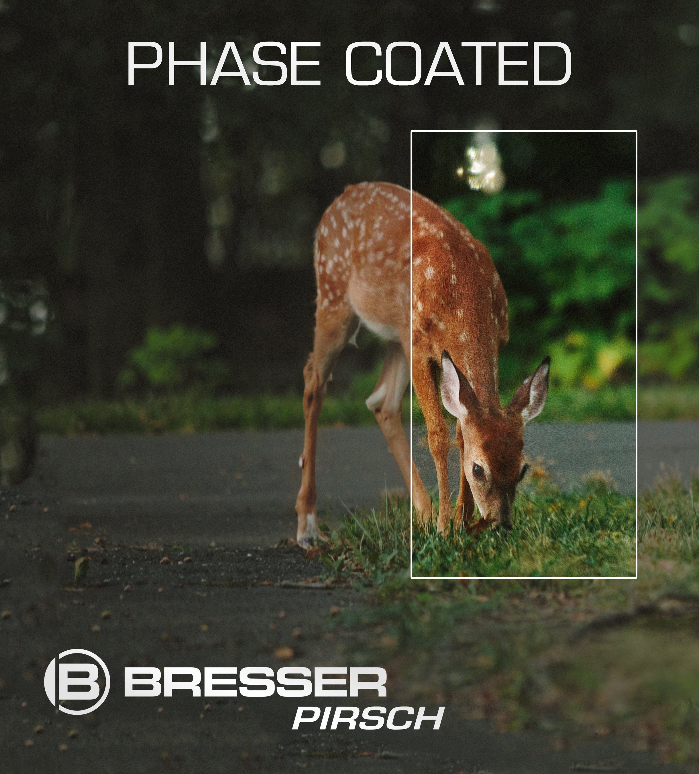 BRESSER Pirsch 8x56 mit Phasenvergütung Fernglas