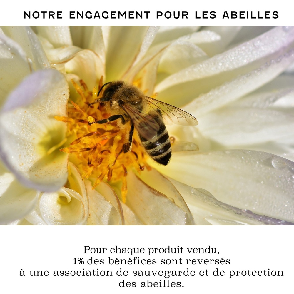 abeilles et botanique La Crème Ruchissime Crème anti-âge nourrissante