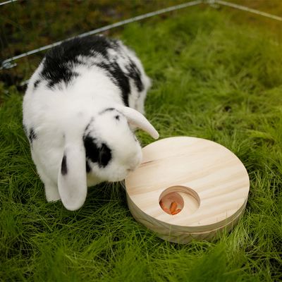 Kerbl Pet Denk- & Lernspieltisch