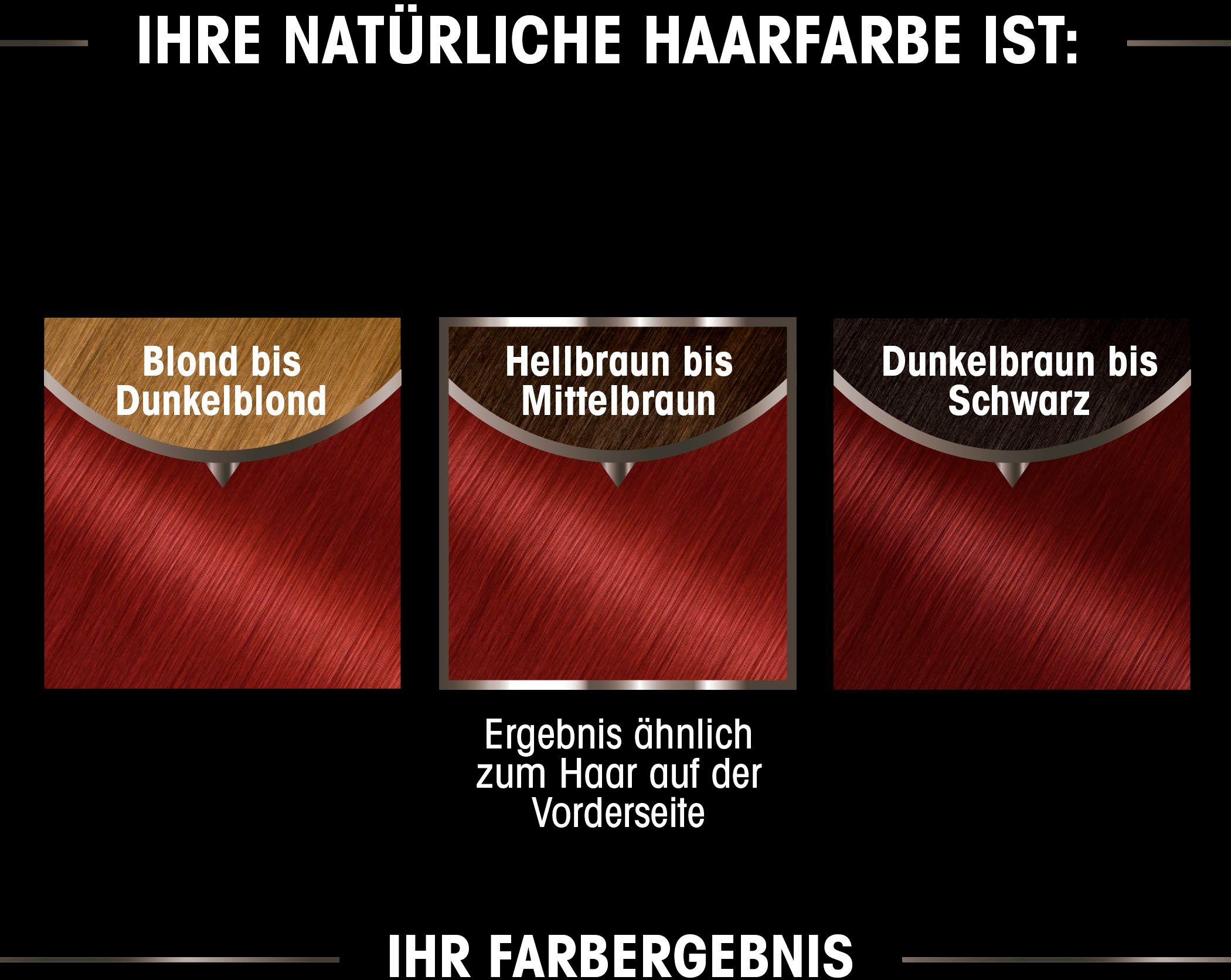 GARNIER Coloration Garnier Olia dauerhafte Haarfarbe, Set, 3-tlg., Ölbasis
