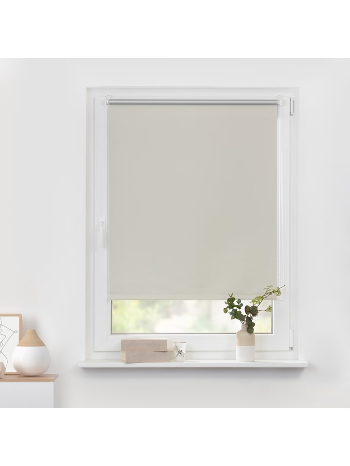 Lichtblick Seitenzugrollo in Creme günstig kaufen