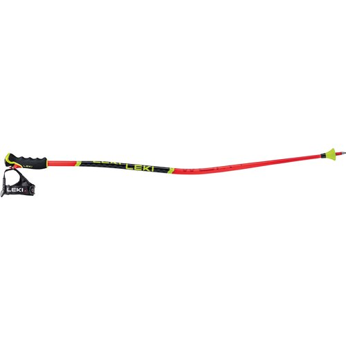 HERREN ALPIN-SKISTOCK WCR LITE GS 3D