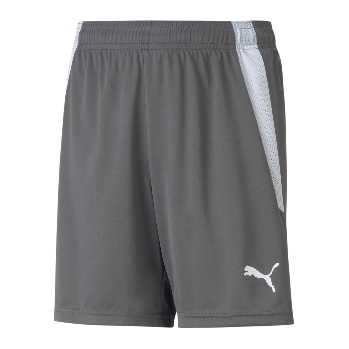PUMA teamLIGA Short Kids Grau Weiss F13