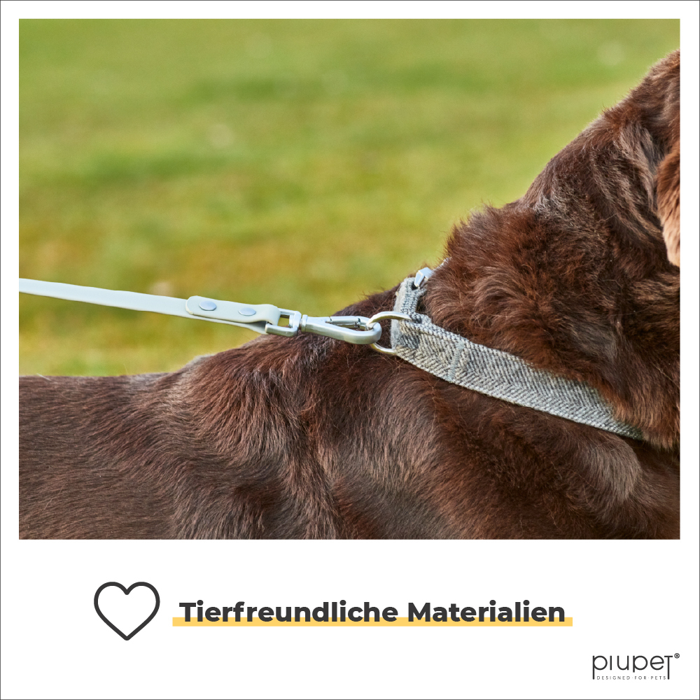PIUPET Hundeleinen PIUPET Schleppleine grau 10 m