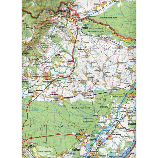 Strasbourg Forbach 1:100 000 - Karte