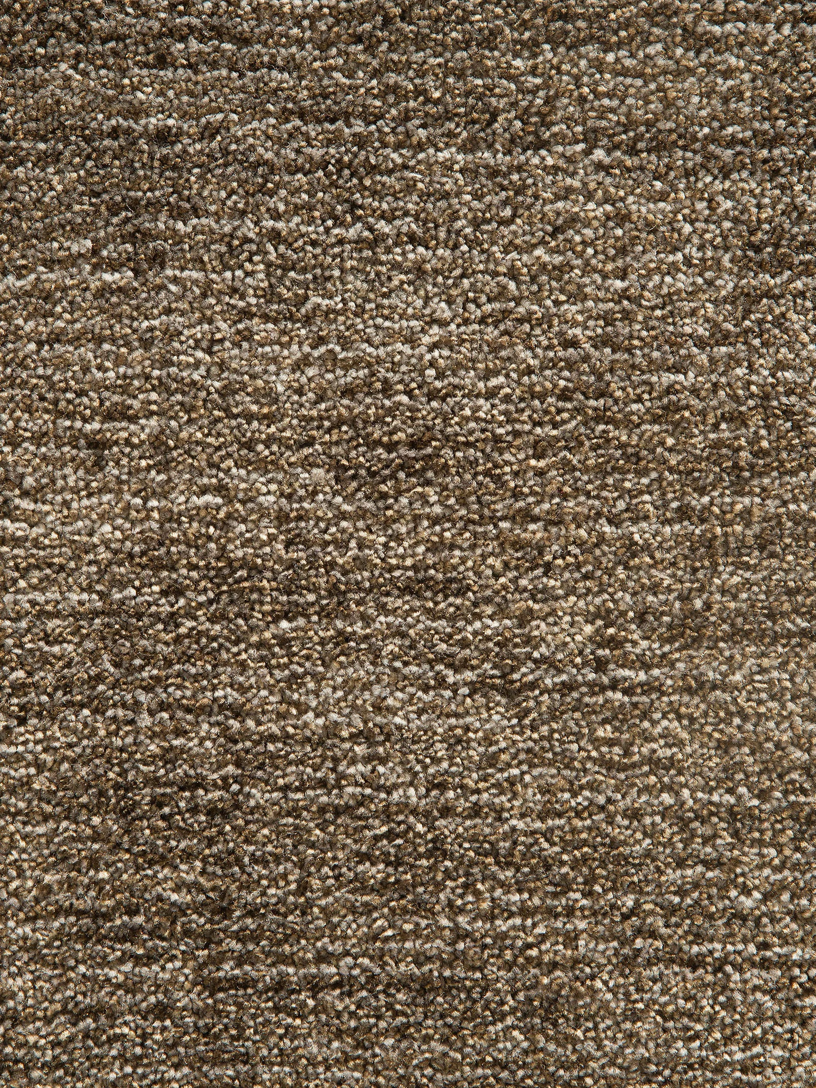 Barinas Hochflor-Teppich, Sand
