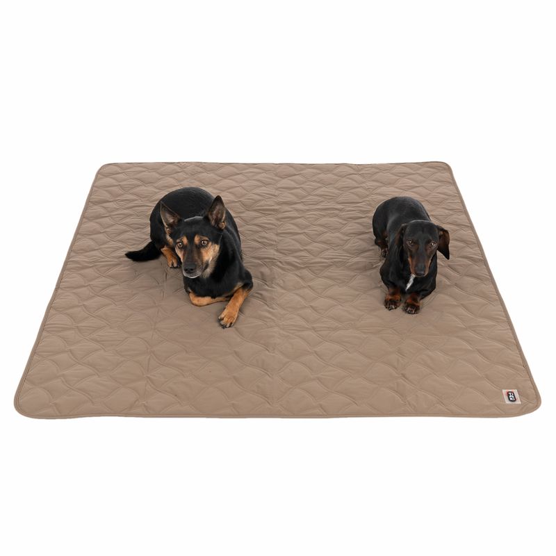 TIAKI Hundedecke Toffee zu TOP-Preisen