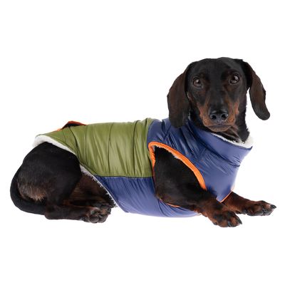 TIAKI Hundejacke Stripes