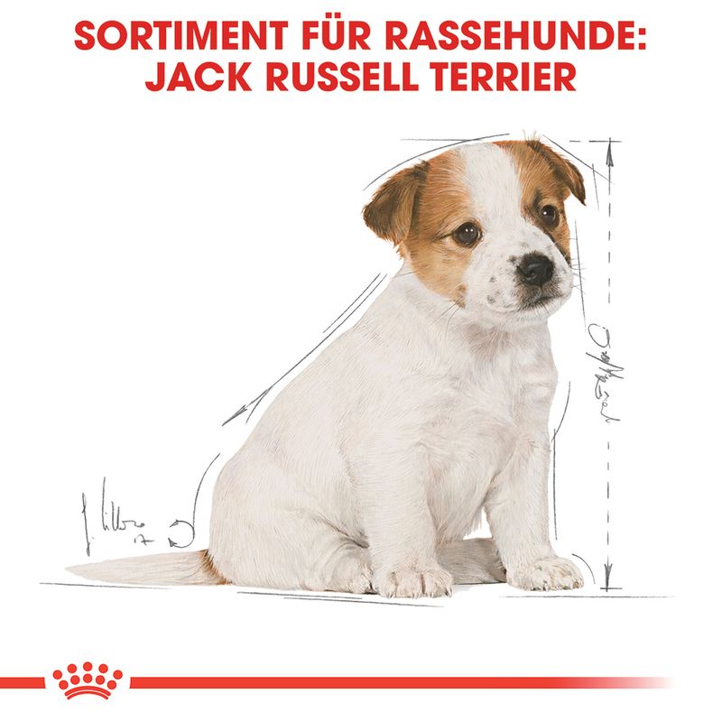 Royal Canin Jack Russell Puppy