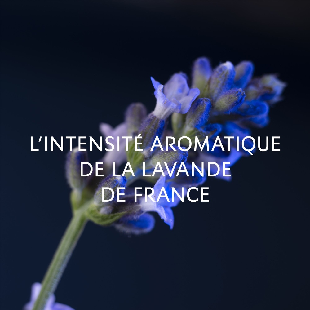 Yves Saint Laurent Y Le Parfum - Eau de Parfum