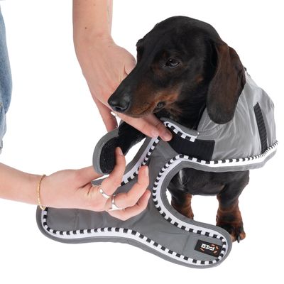 TIAKI Hundemantel Spark