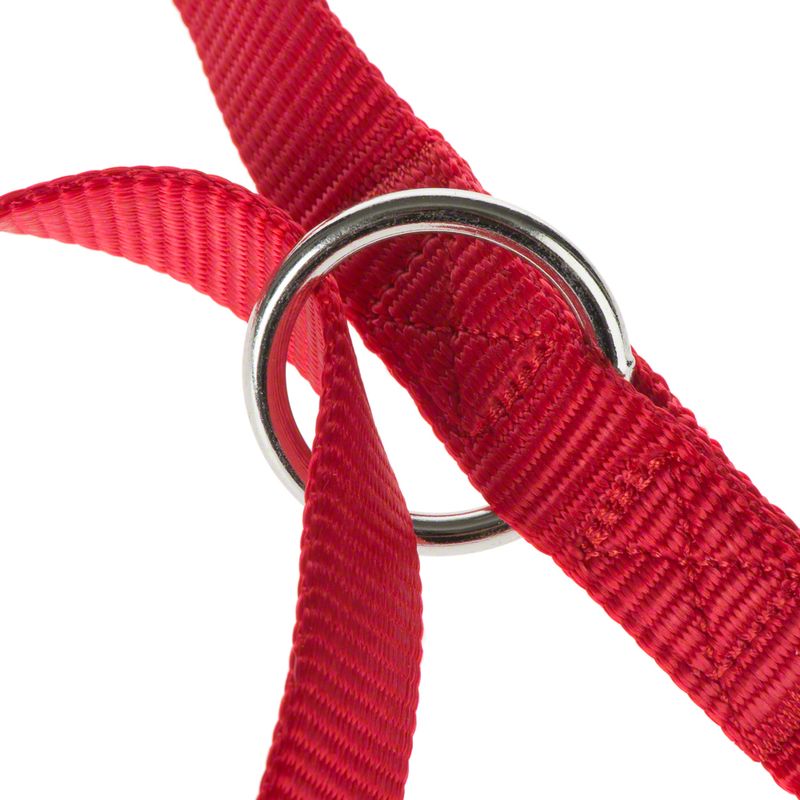 Hunter Hundeleine Vario Basic - rot zu TOP-Preisen % | bitiba