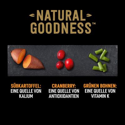 Cesar Natural Goodness