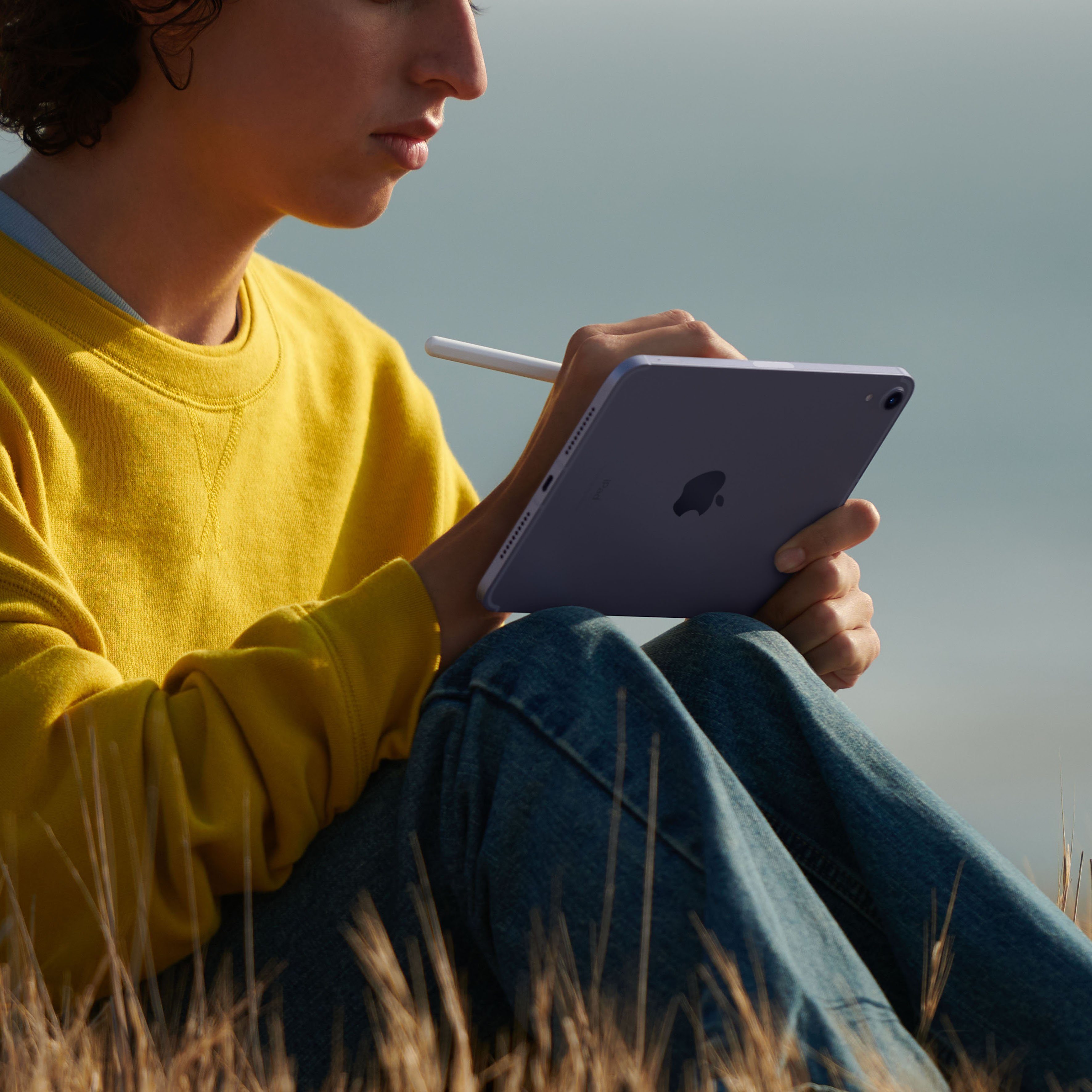 Apple iPad mini Wi-Fi + Cellular (2021) Tablet (8,3