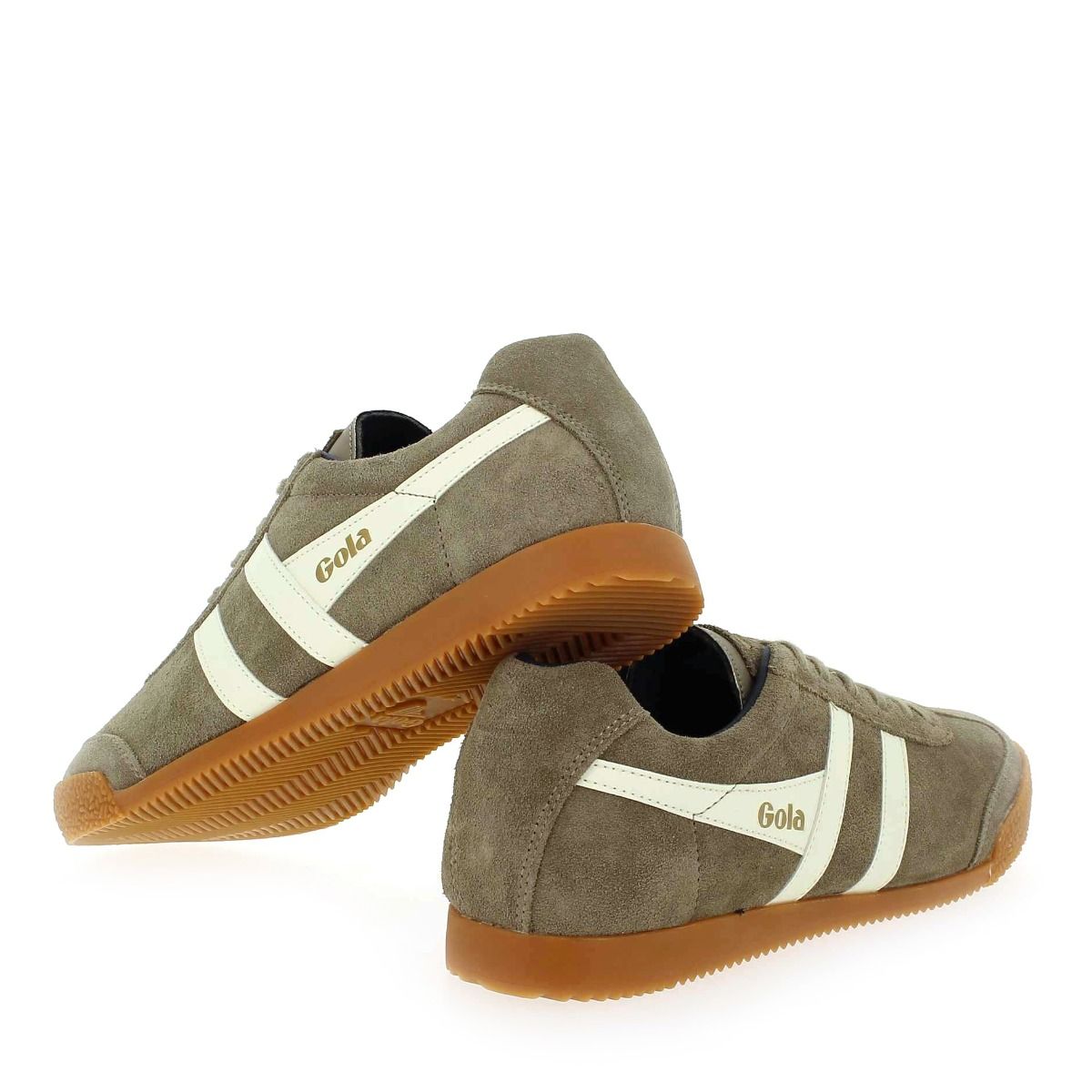 Gola  HARRIER GOLA CMA192 - Taupe Blanc