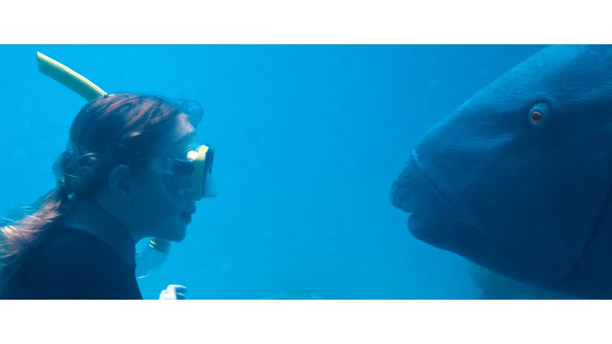 Blueback - Eine tiefe Freundschaft