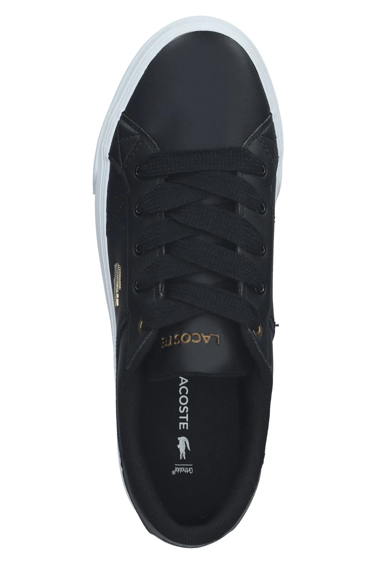 Lacoste  Sneaker - Schwarz - Flacher Absatz