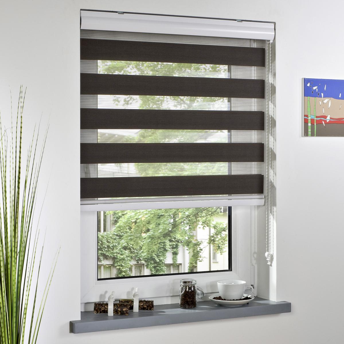 Bella Casa Duo-Rollo mit Blende, Rollo, lichtdurchlässig, Sonnenschutz, 60 x 160 cm espresso