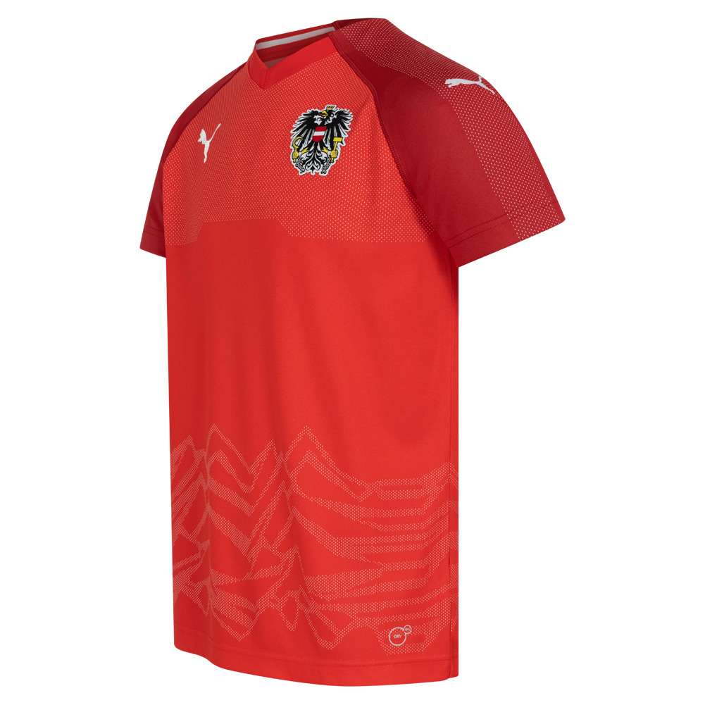 Österreich ÖFB PUMA Kinder Heim Trikot 752515-01