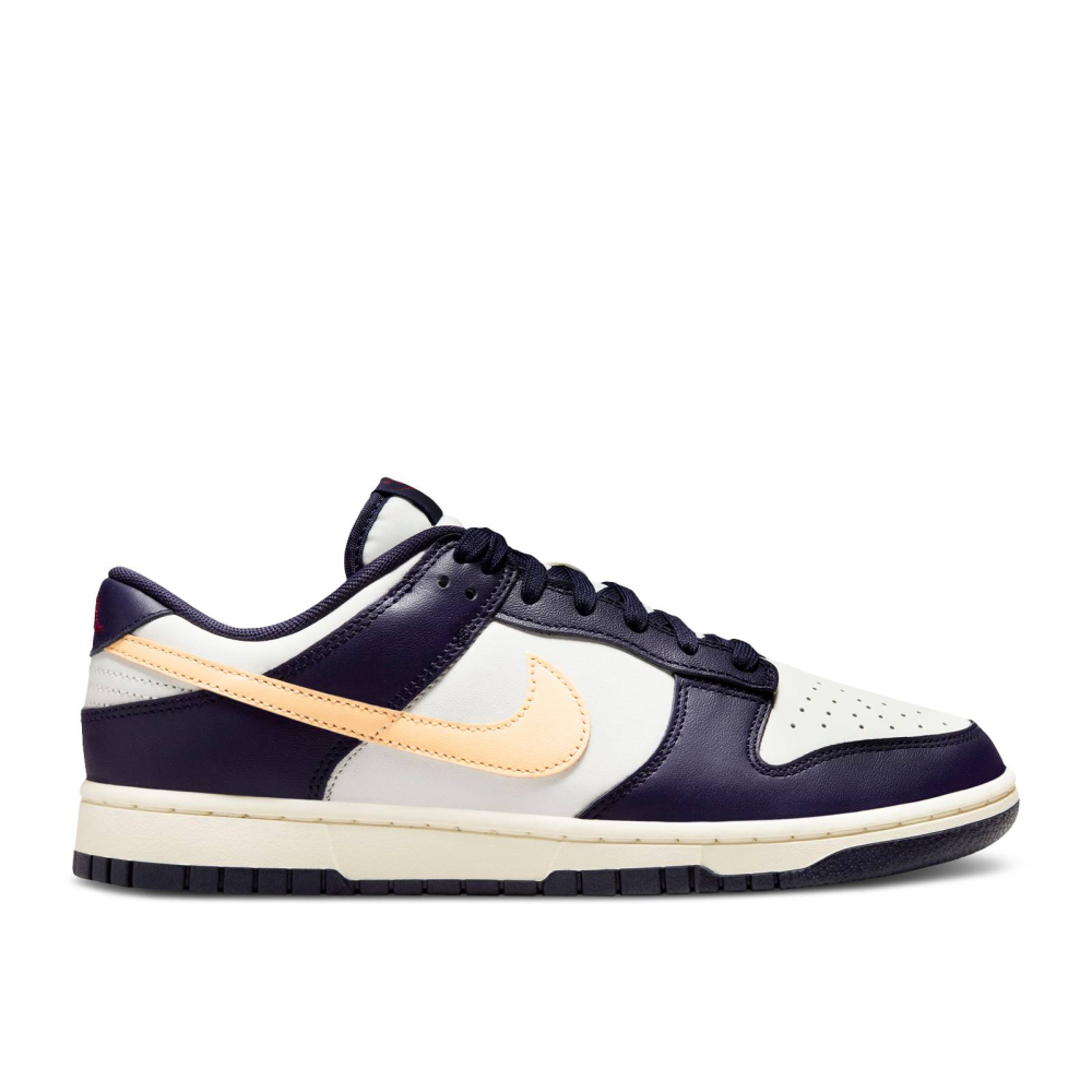 Nike Dunk Low FV8106-181 / blau