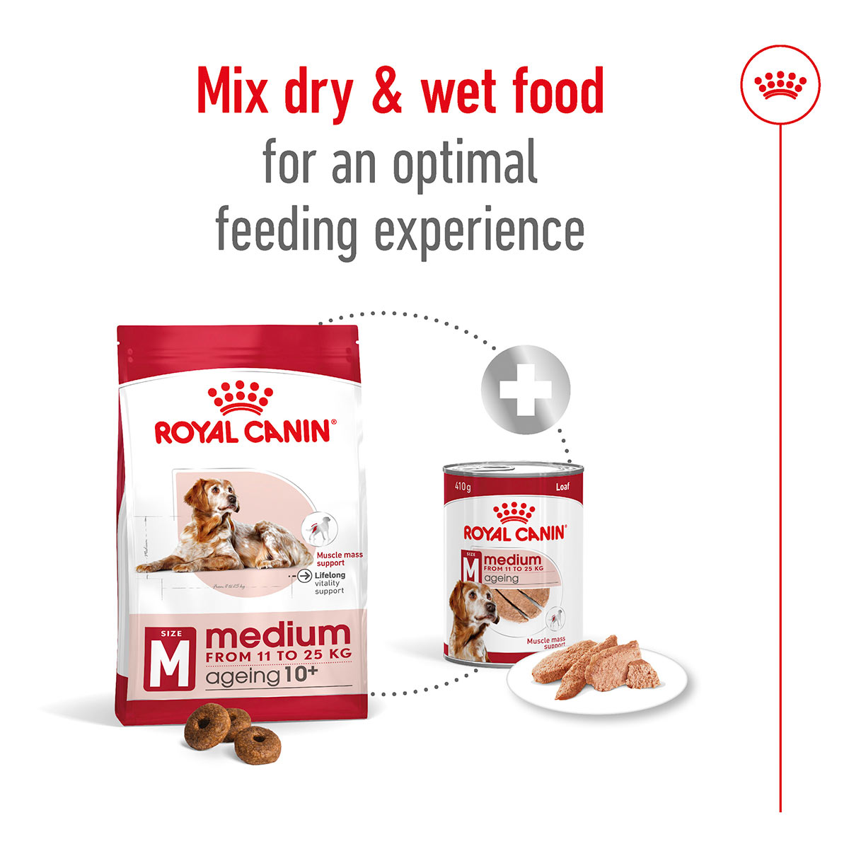 Royal Canin SHN Medium Ageing Loaf Can kaufen bei ZooRoyal