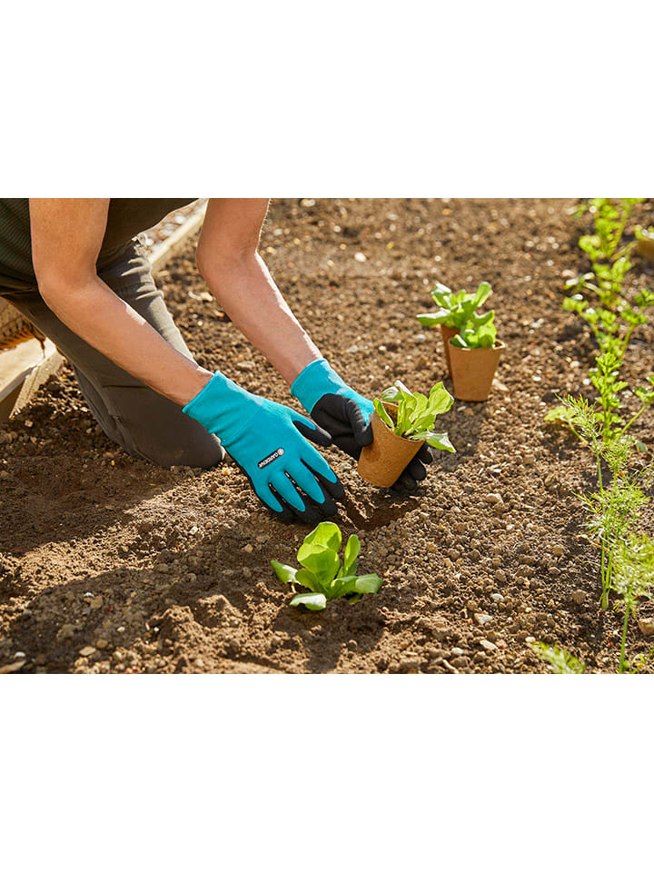 Gardena Gartenhandschuhe in Hellblau/ Schwarz günstig kaufen onesize