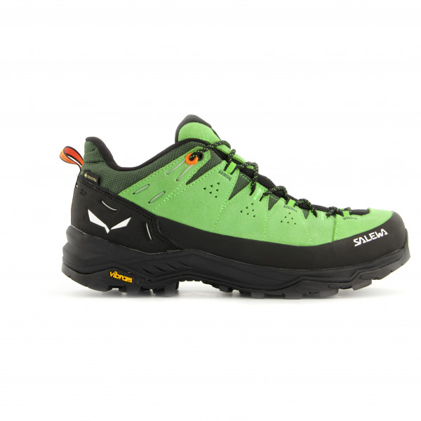 Salewa - Alp Trainer 2 GTX - Multisportschuhe