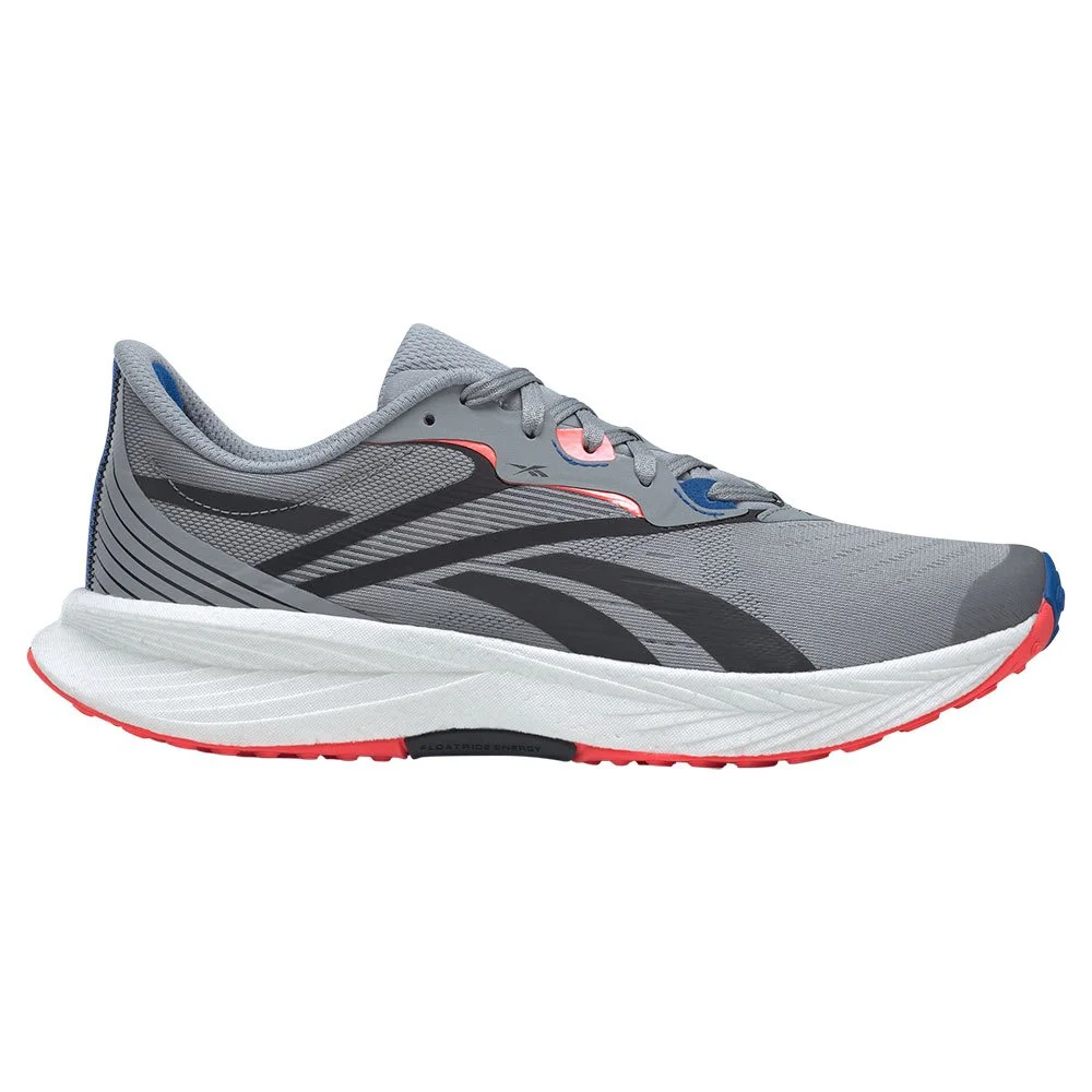 Reebok Floatride Energy 5 GY0073 / grau