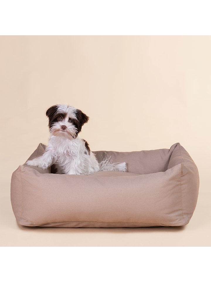 Paikka Hundebett in Hellbraun günstig kaufen 50x60 cm