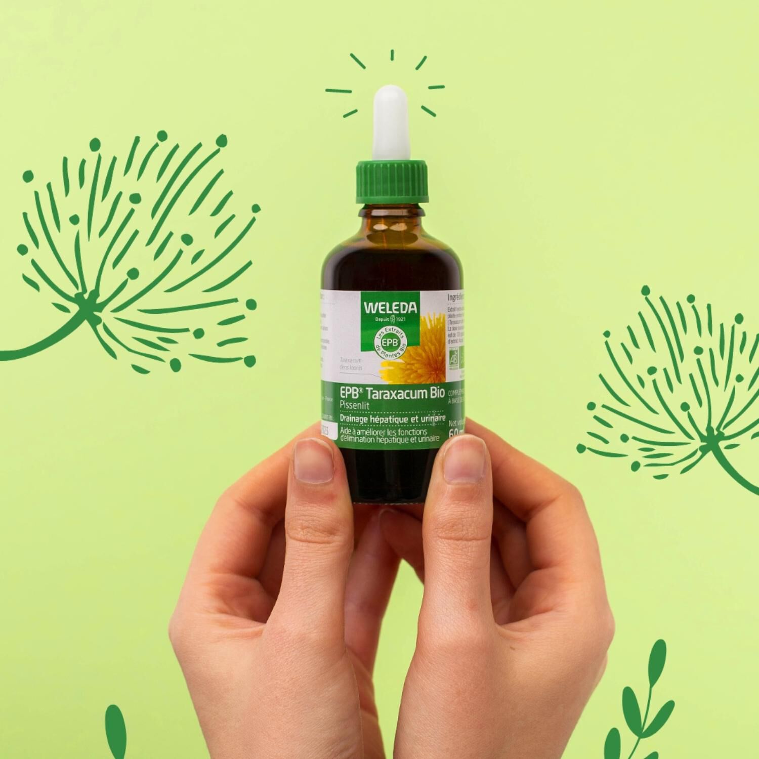 Weleda EPB® Taraxacum Bio Drainage Hépatique et Urinaire - Complément Alimentaire Naturel - 60ml
