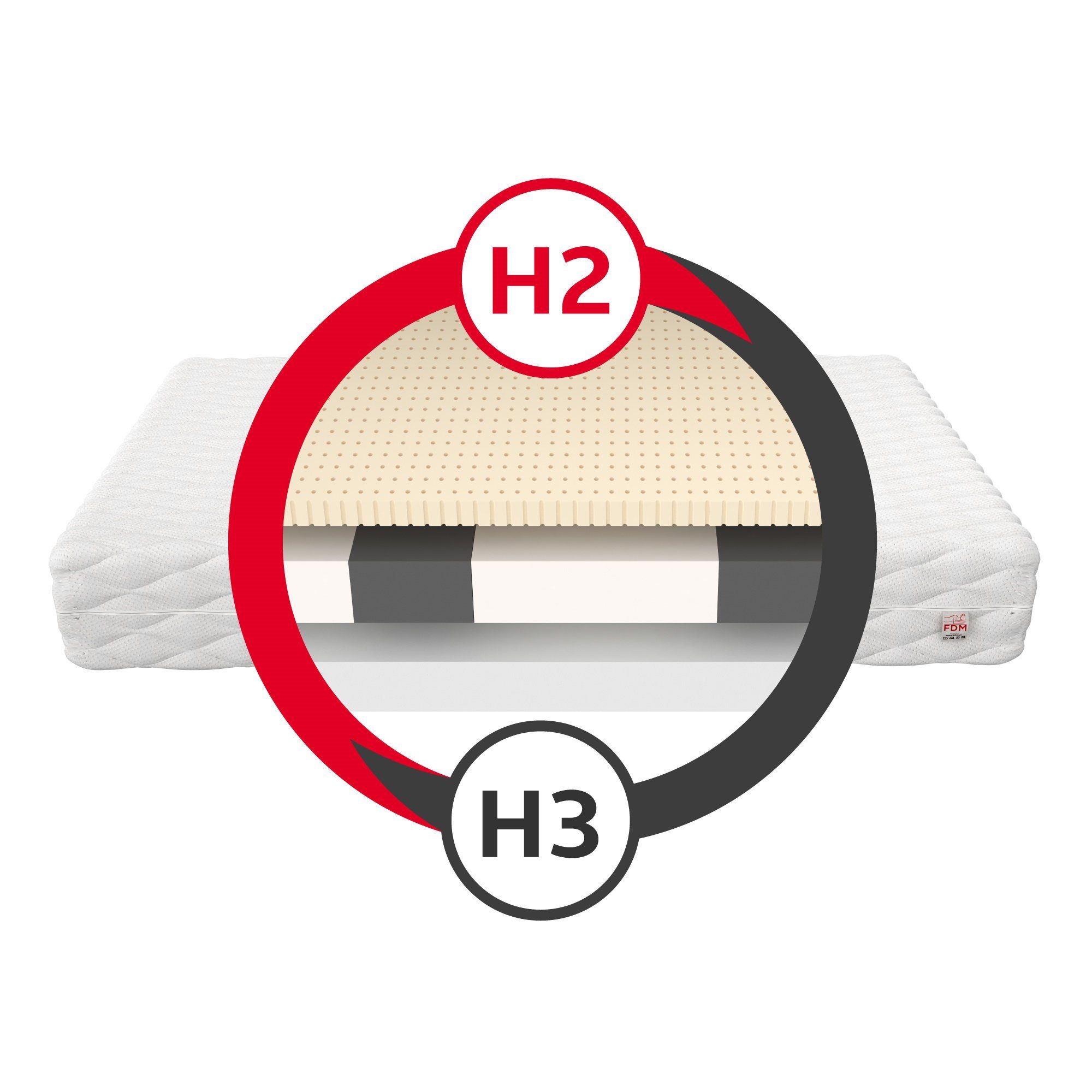 Kaltschaummatratze BITONTO, FDM, 15 cm hoch, (1), Wendematratze, 7 Zonen, H2/H3
