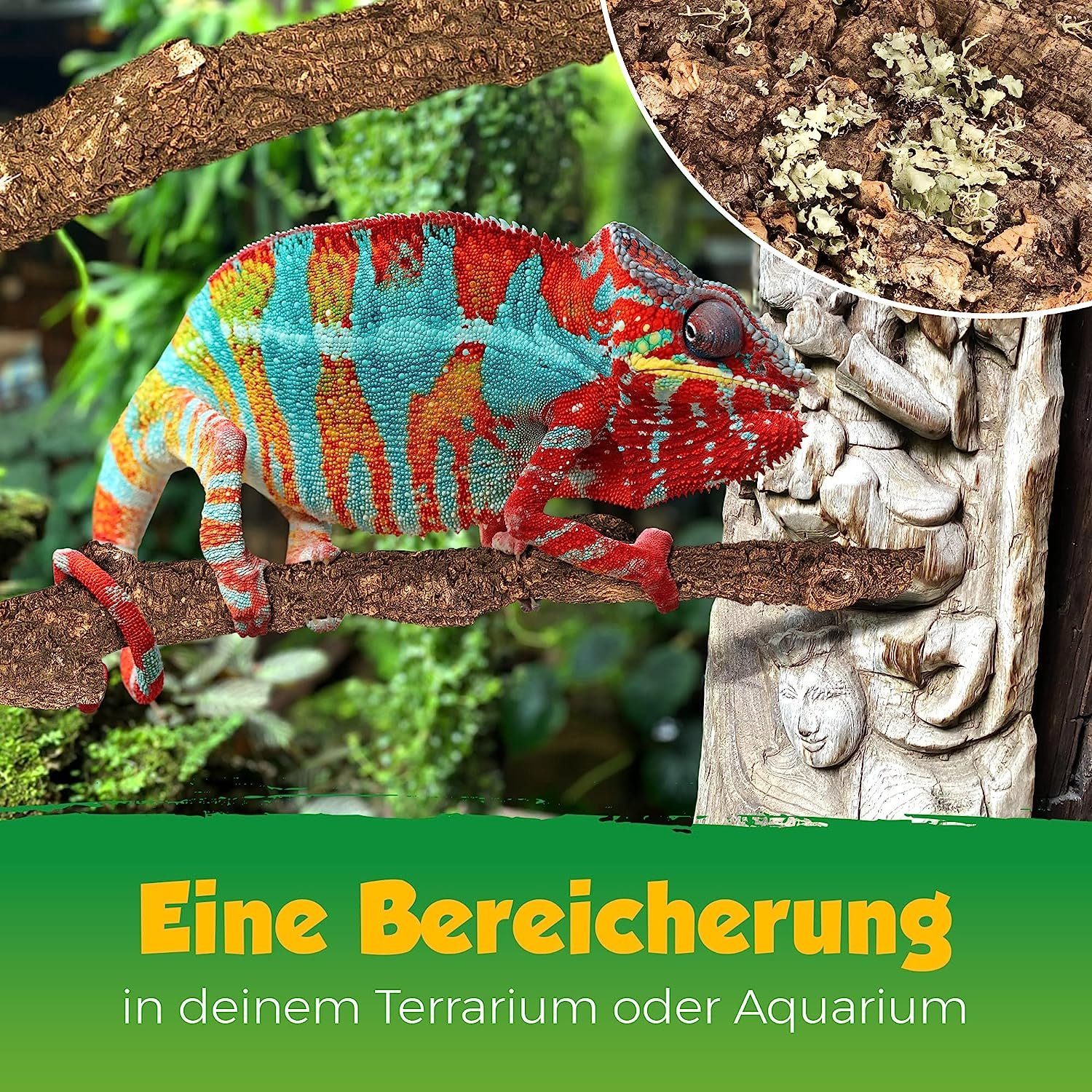 Kork-Deko.de Terrariendeko Ast des Korkbaums (1m Länge) - hitzedesinfiziert und schädlingsfrei