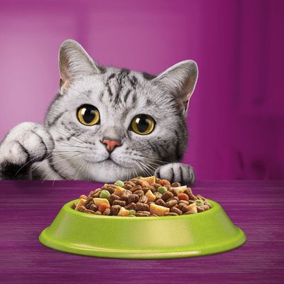 Whiskas 1+ Lamm