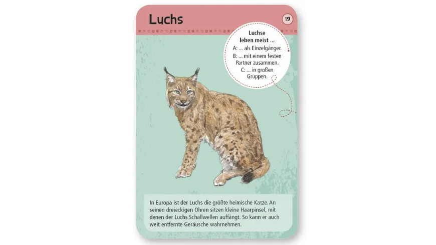 moses. - Expedition Natur - 50 heimische Wald- & Wildtiere