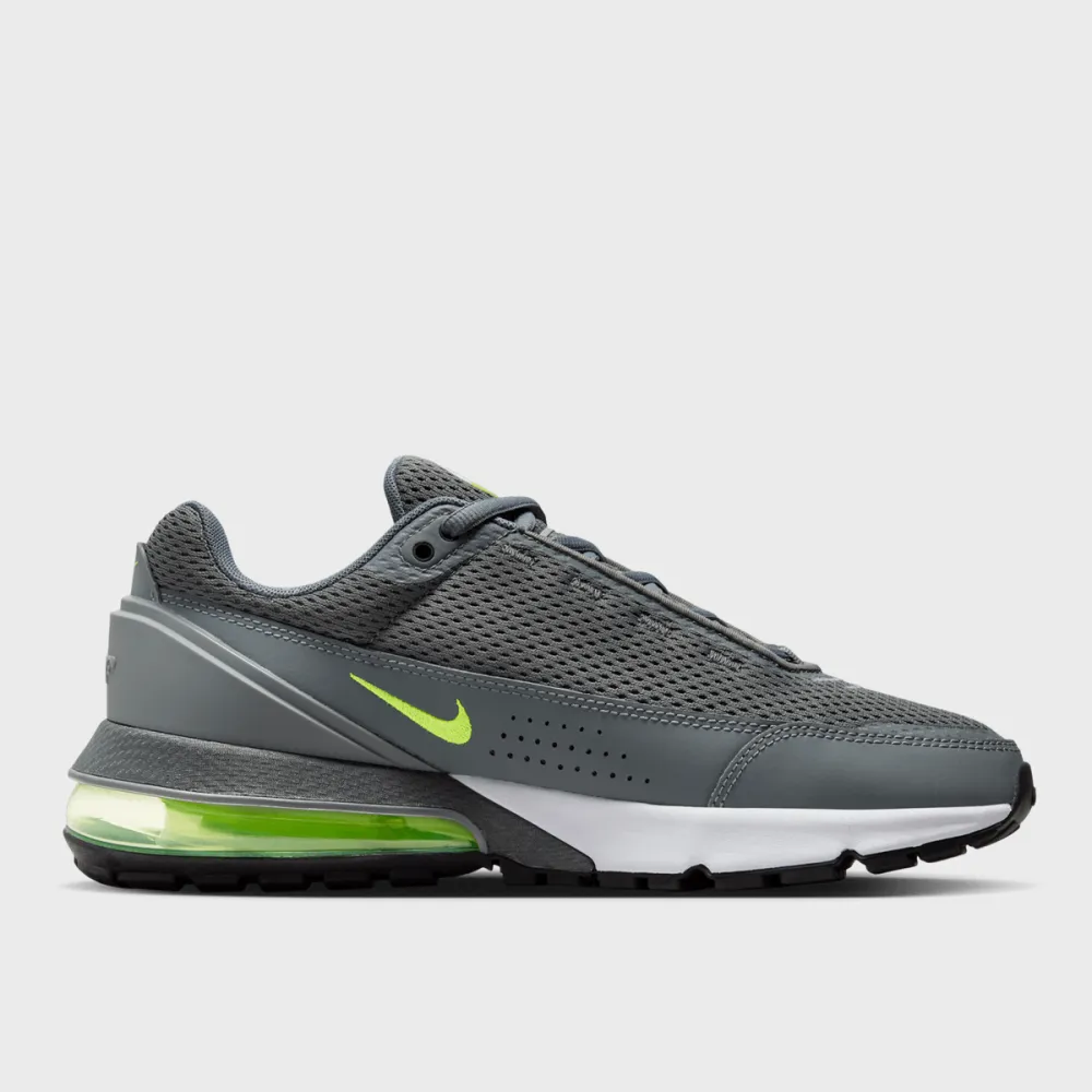 Nike Air Max Pulse FV6653-001 / grau