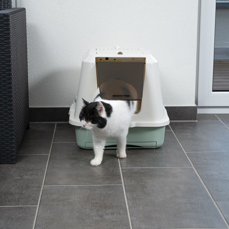 kooa Haubentoilette mit Öko-Kunststoff zu TOP-Preisen | bitiba %