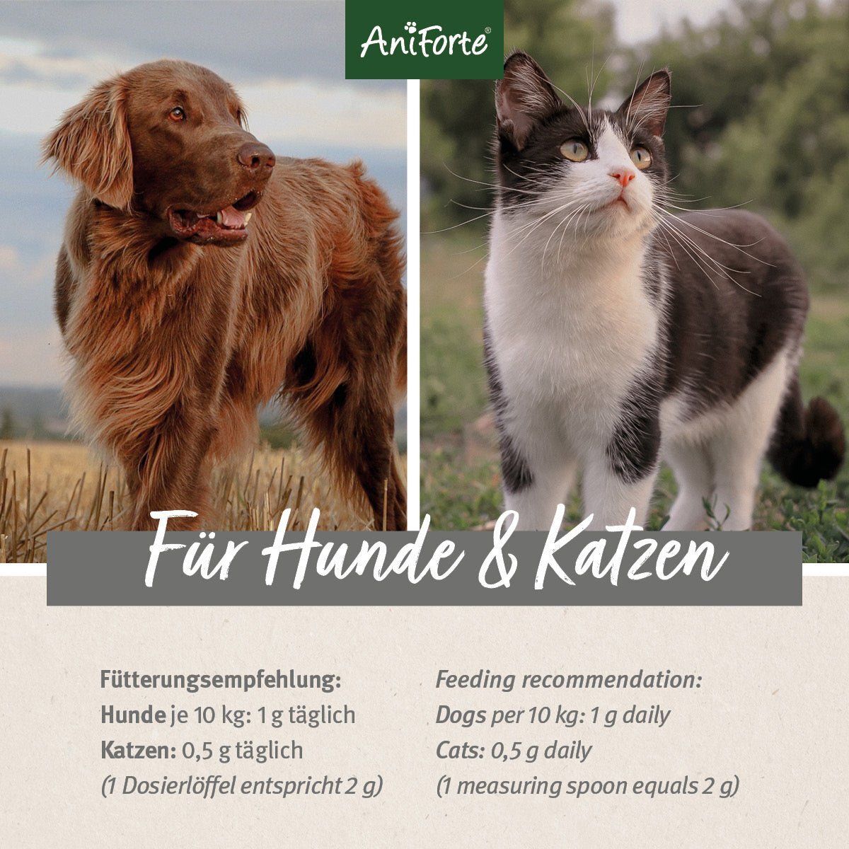 Aniforte Ergänzungsfutter & Aufzucht Aniforte Denta Clean & Care Zahnpflege Pulver 150 g