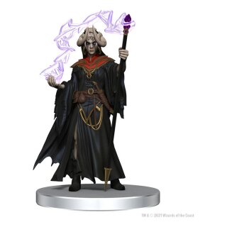 Dungeon & Dragons Icons of the Realms Set 20 The Wild Beyond the Witchlight Starter Set 2