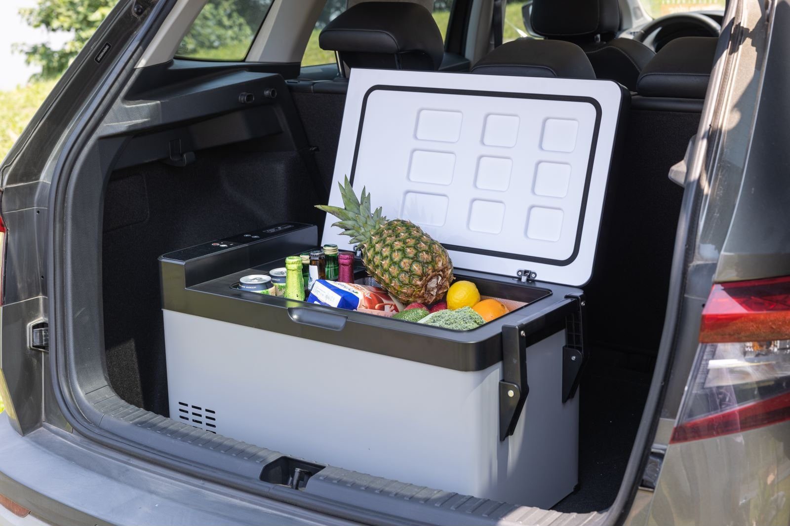 CLEESINk Kühlbox Kompressor kühlbox auto 38L 12V/240V tragbare Kühlschrank mit Griff, 38 l