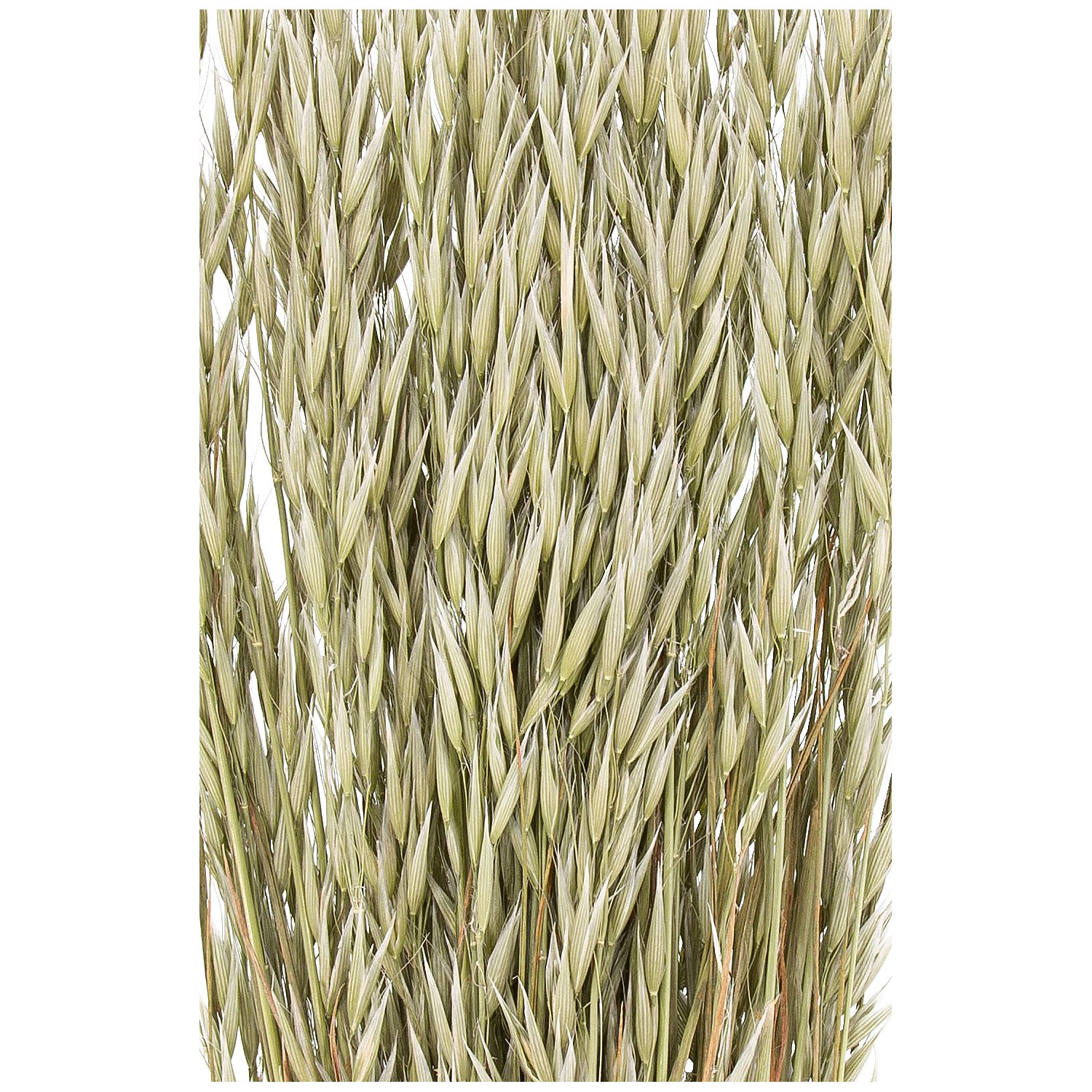 Haferbund, grün, 150 g