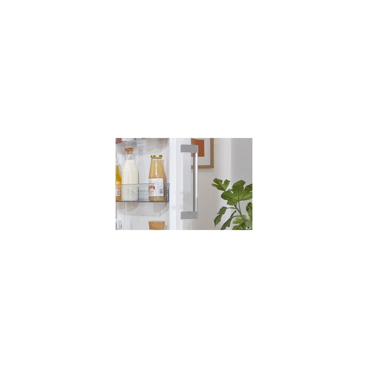 GORENJE Kühlschrank R619EEW5 R619EEW5