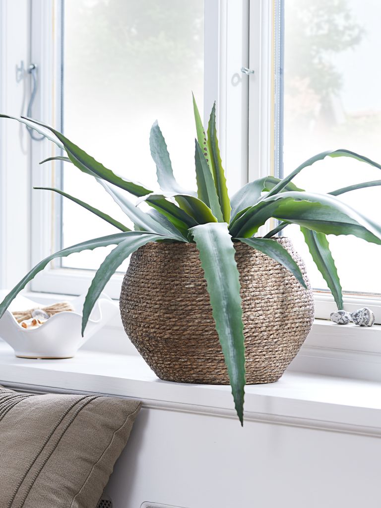 CELIUS Kunstig plante CELIUS H65cm aloe