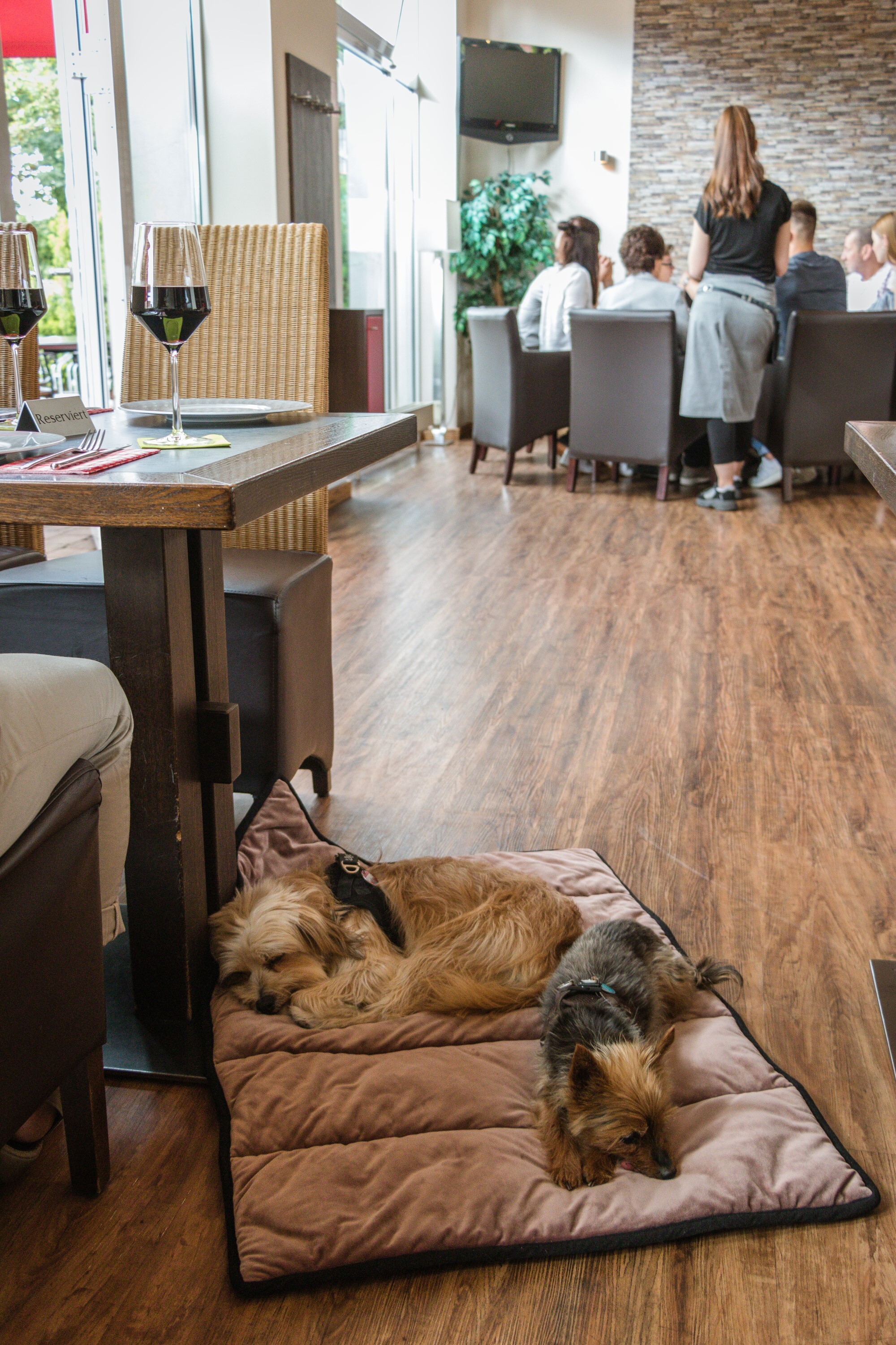 TrendPet Hundedecken TrendPet Meine Restaurantdecke altrosa L