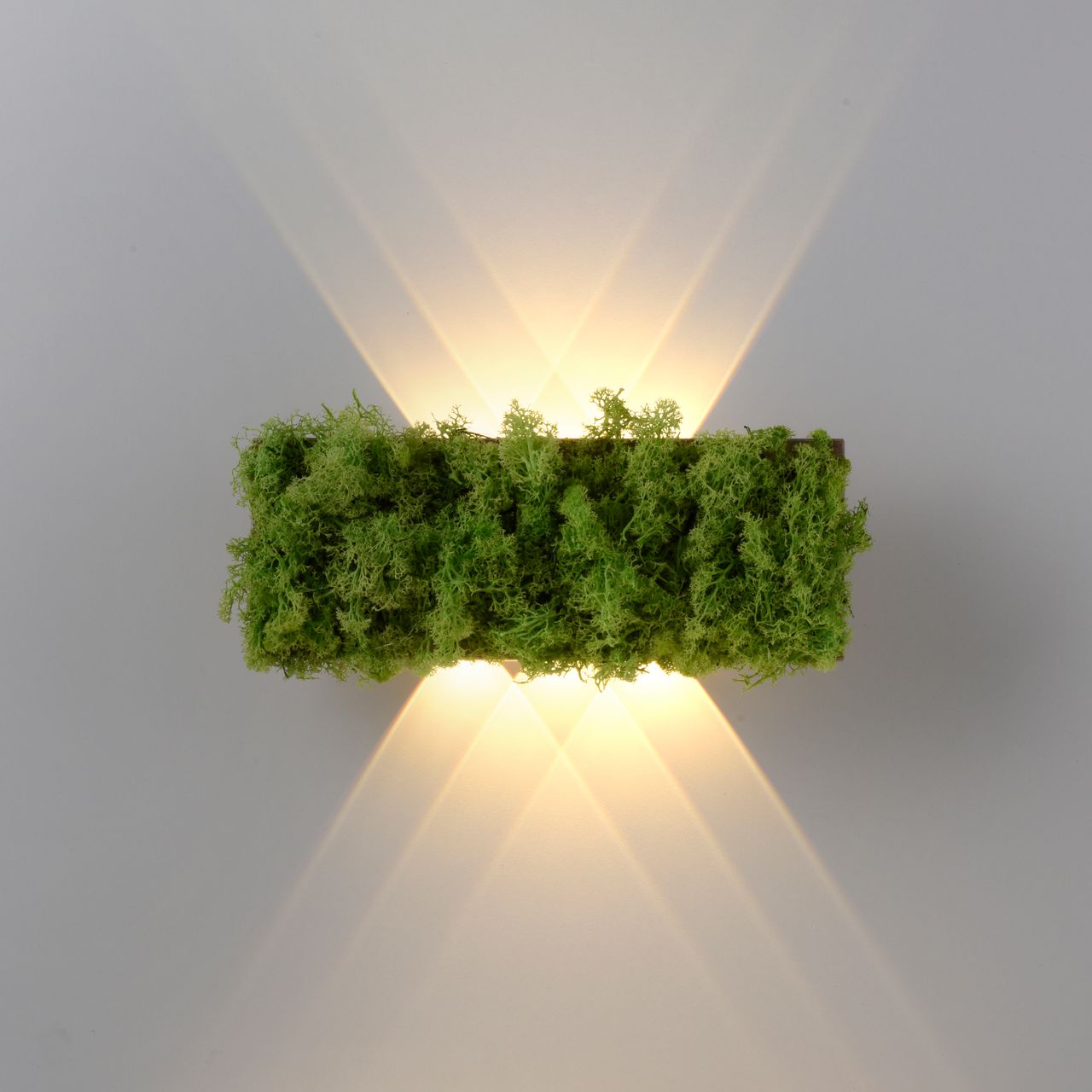 JUST LIGHT LED Wandleuchte GREEN CARLO, mit echtem Moos, 3000 K