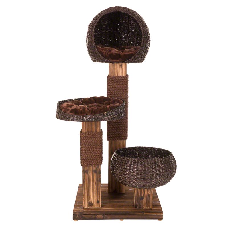 Kratzbaum Burned Wood zu TOP-Preisen