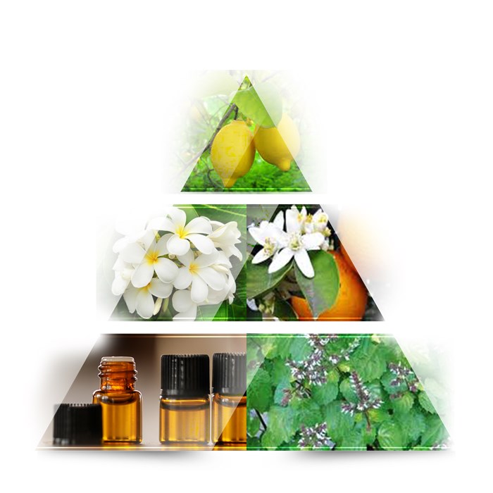 Women's Collection Geschenkset Cash Woman von LA RIVE | parfumdreams