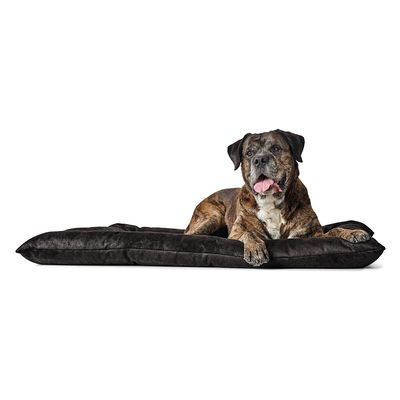HUNTER Hundebett Bologna, schwarz