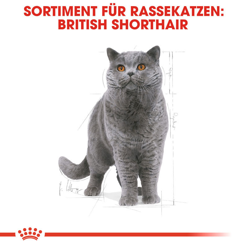 ROYAL CANIN Trockenfutter ROYAL CANIN British Shorthair Adult 2 kg