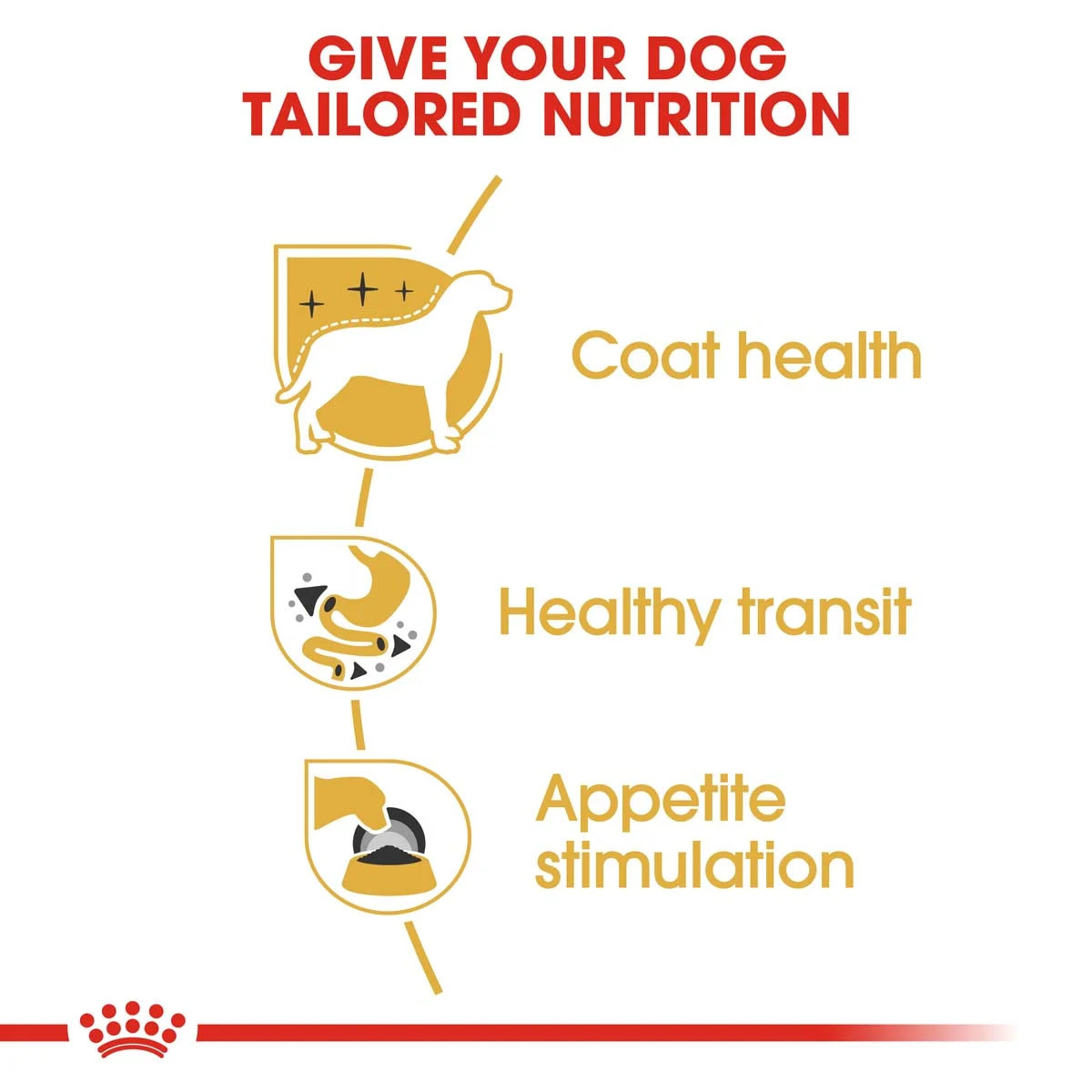 ROYAL CANIN Chihuahua Adult Hundefutter nass 12x85g bei ZooRoyal
